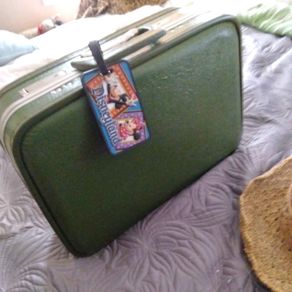 Vintage Small Hardshell Mini Case - image 8